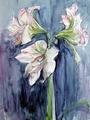 Amaryllis