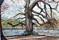 Badenburger See - Schlo�park Nymphenburg
