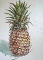 Ananas